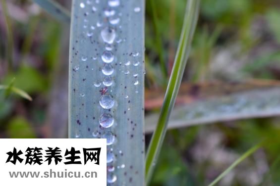 如何快速變白