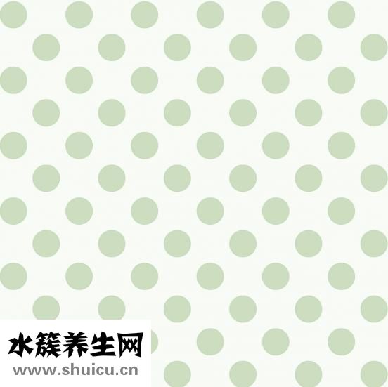 圓點怎么打