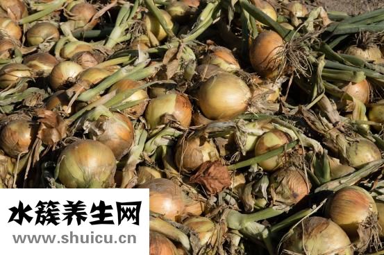 嗎咖是什么