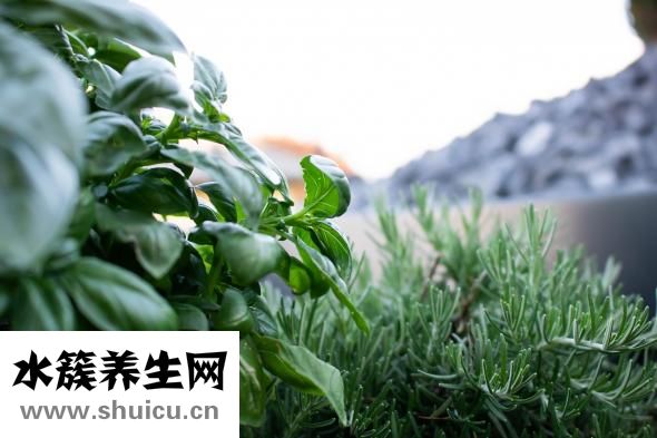 單韻母有哪些