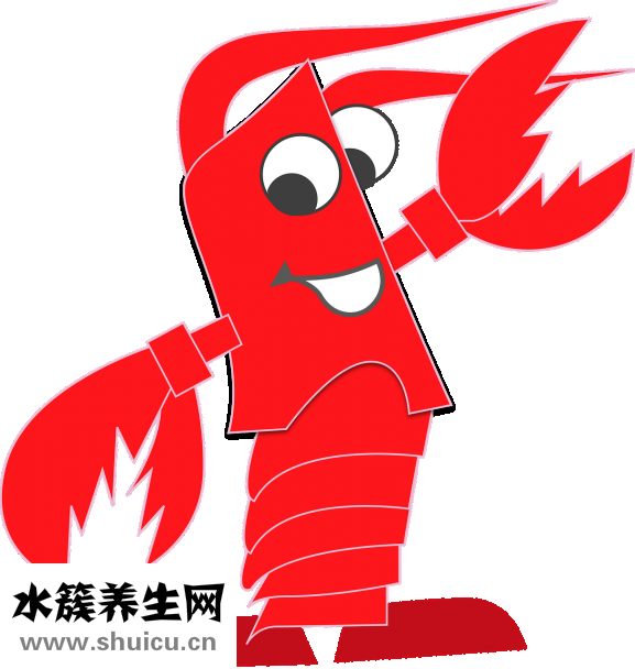 大蝦怎么做