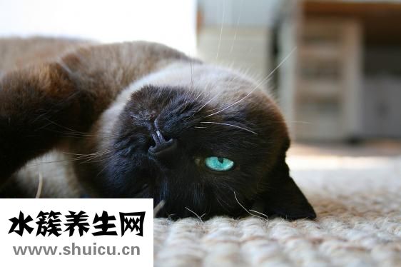 怎么畫眼線