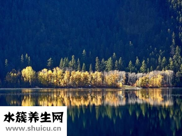 冬瓜湯怎么做