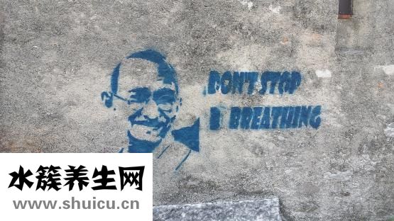 春天開什么花