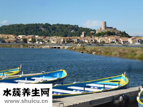 九華山在哪里