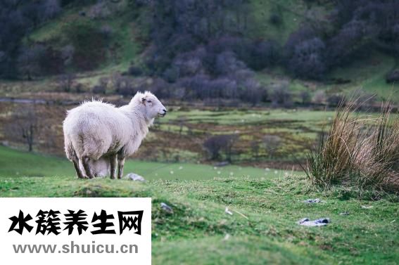 怎么算預產期