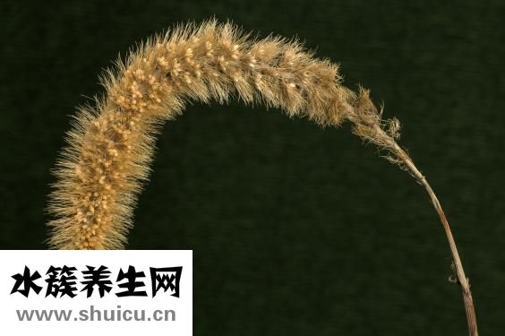 頭發出油厲害怎么辦