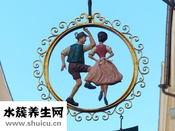 仙人球怎么養