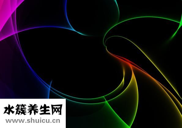 吃什么菜減肥