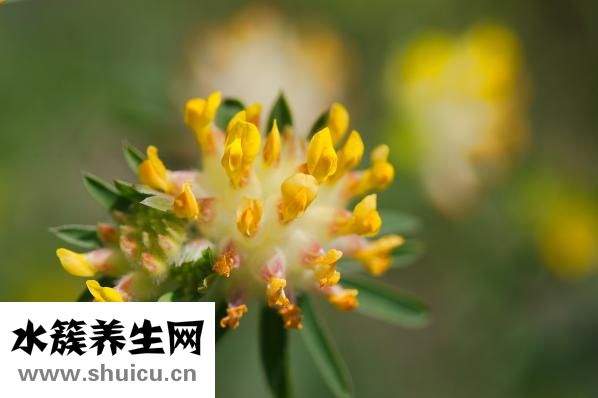 咽喉炎怎么辦