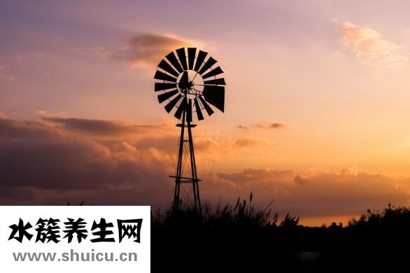 發燒吃什么