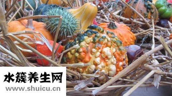 冬瓜湯怎么做