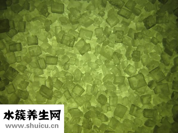 國籍怎么填