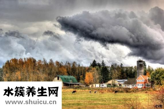 厭學怎么辦