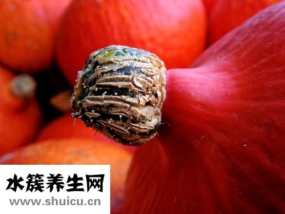 冬瓜湯怎么做