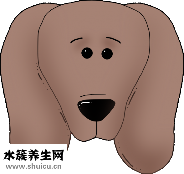 坐飛機耳朵疼怎么辦