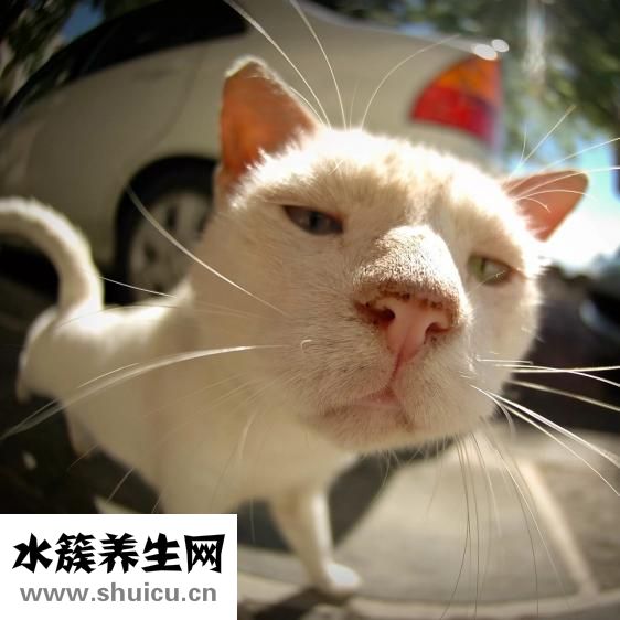 有眼袋怎么辦