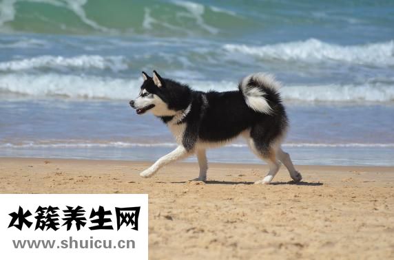 如何去除黑頭