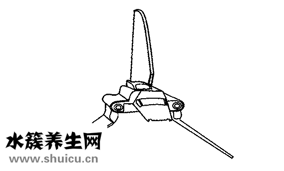 天梭表怎么樣