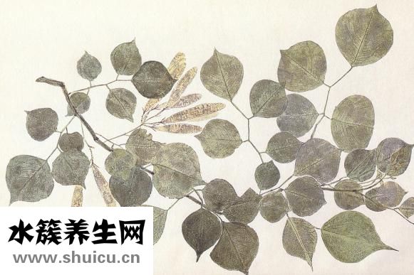 雙下巴怎么辦