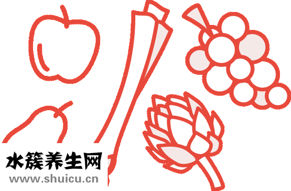 多肉怎么養
