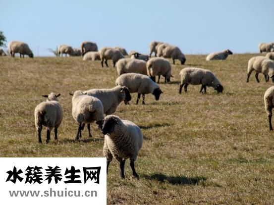 如何治療失眠
