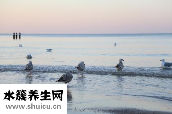懷孕了怎么辦