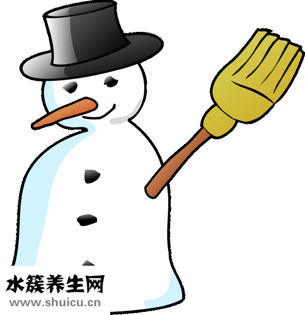 壽司怎么做