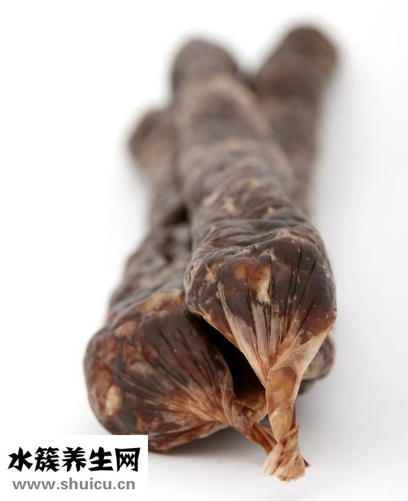 倉鼠怎么養