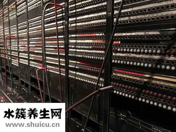 體溫計怎么看