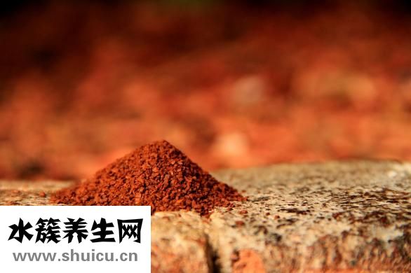 倉鼠怎么養
