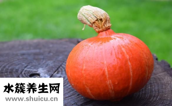 多肉怎么養