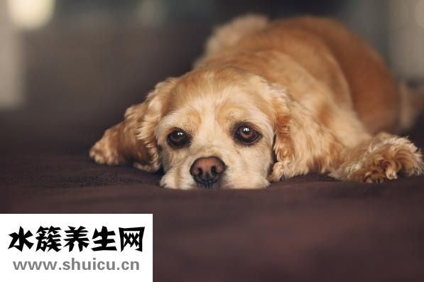 感謝信怎么寫