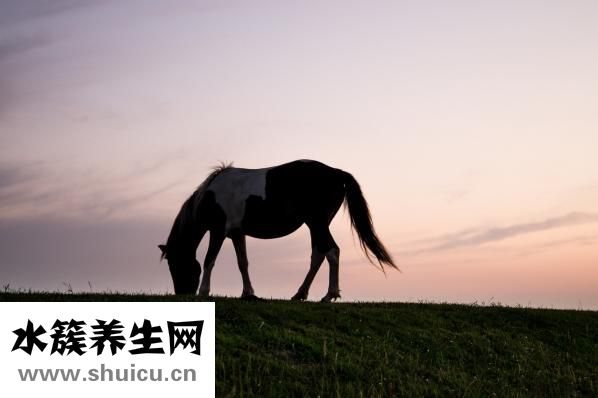 情商是什么意思