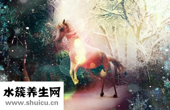 如何算預產期