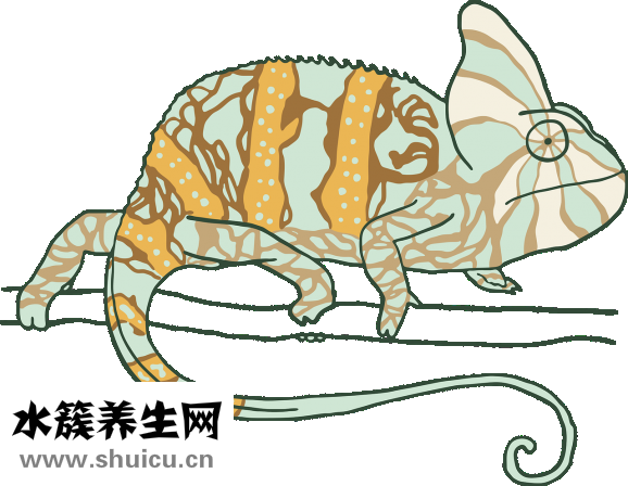 后背疼怎么回事