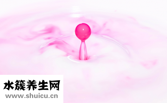 早餐吃什么好