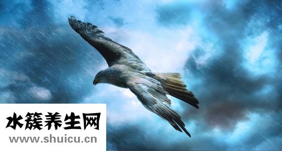 左眼皮跳是什么預兆