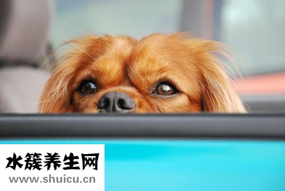 卸妝油怎么用