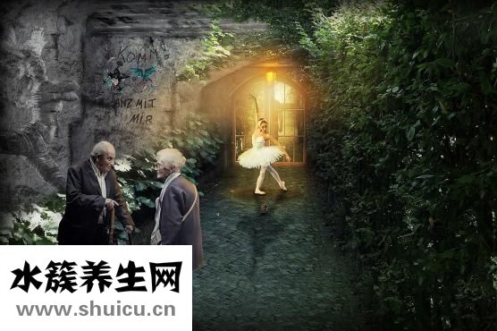 晚飯吃什么好