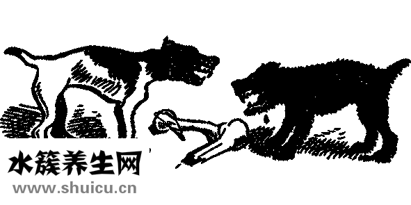 可樂雞翅怎么做