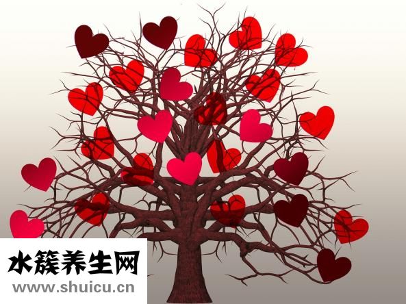 心率多少正常