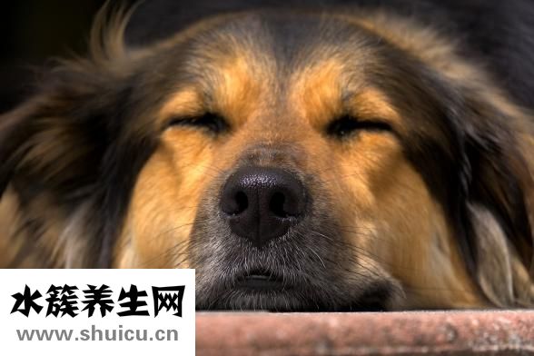 怎么縮小鼻孔