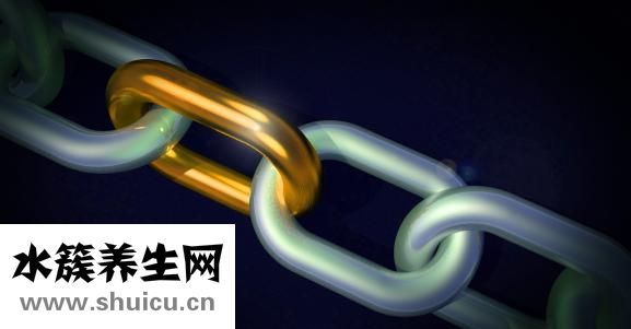 掛科什么意思