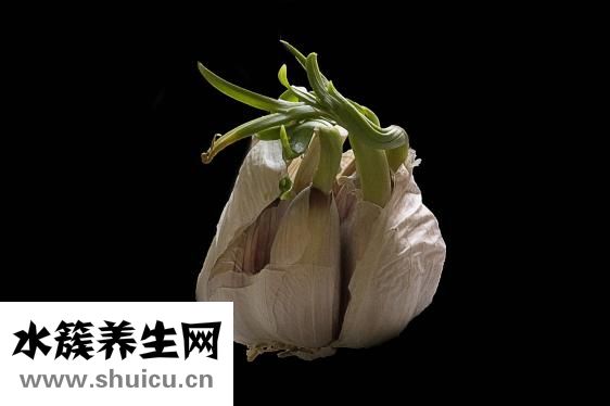 晚上吃什么好