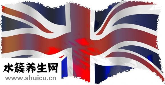 掛科什么意思