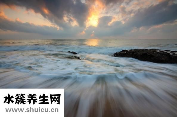 可樂雞翅怎么做