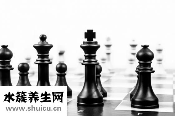 壁虎吃什么