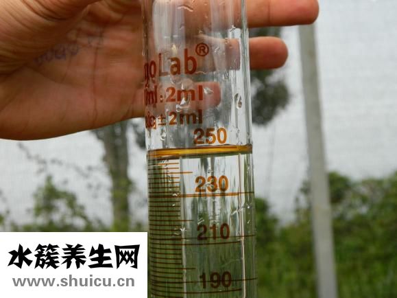 假發怎么洗