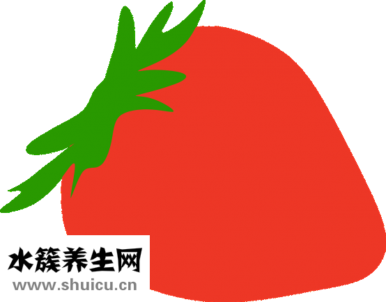 怎么養烏龜